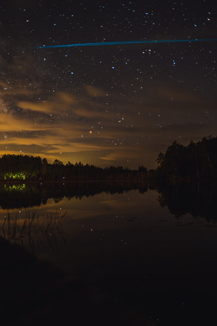 Trees By The Lake At Night