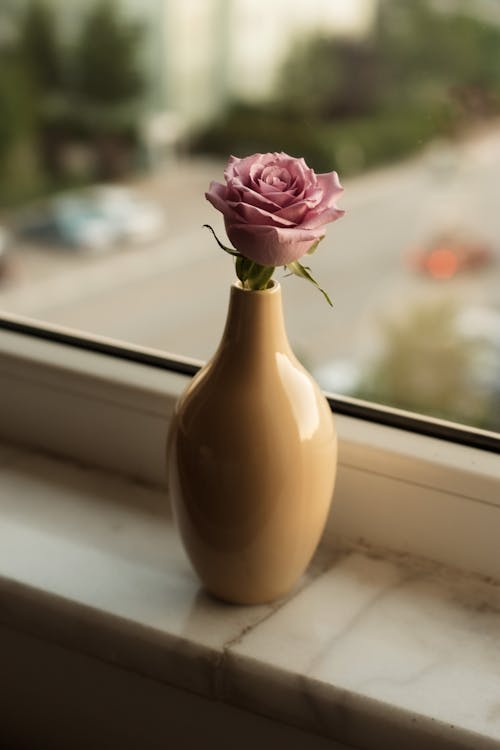 Foto profissional grátis de arranjo de flores, cor-de-rosa, design de interiores