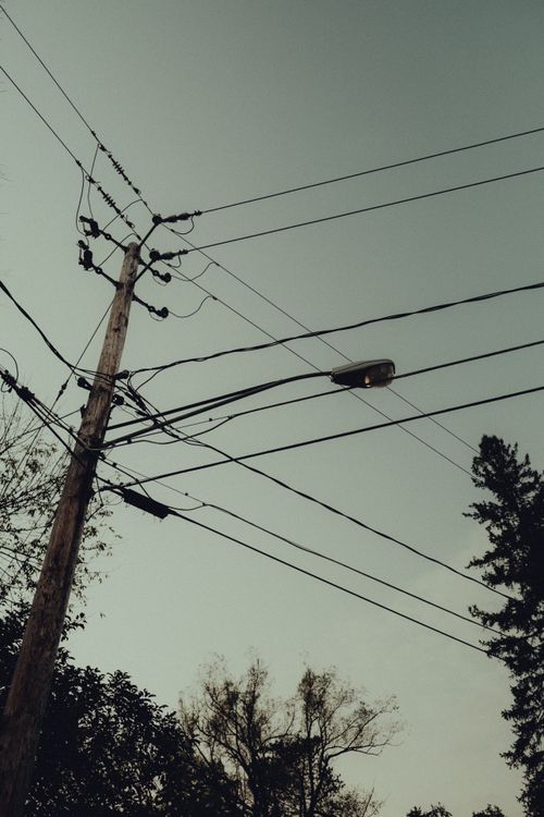 Free A utility pole and power lines silhouetted against a cloudy sky, with trees in the foreground. Stock Photo