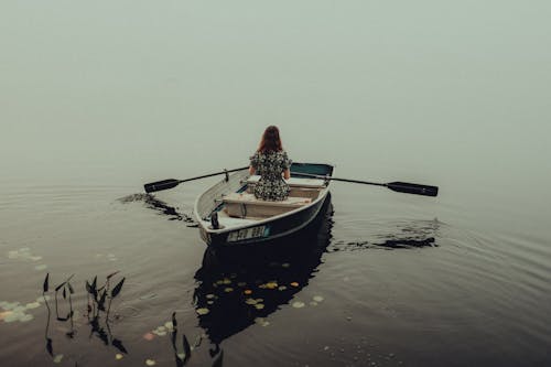 Fotos de stock gratuitas de agua, barca, lago