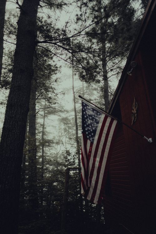 Free A moody shot of an American flag against a misty forest backdrop, invoking patriotism. Stock Photo