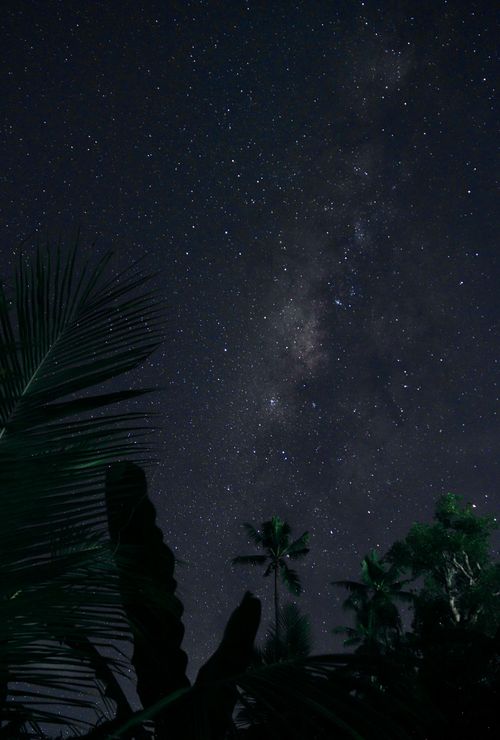 Free Breathtaking view of the Milky Way above tropical foliage in Bali, Indonesia, under a clear night sky. Stock Photo