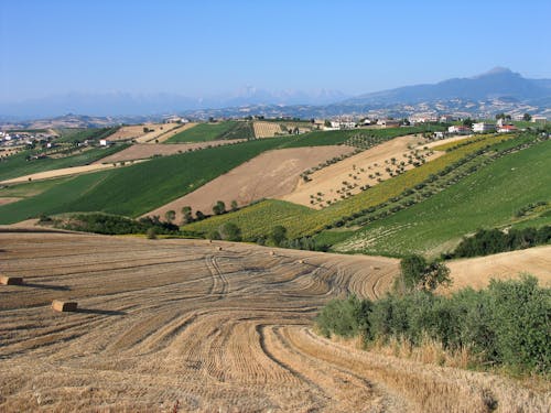 Agricultural Fields on Hillsides