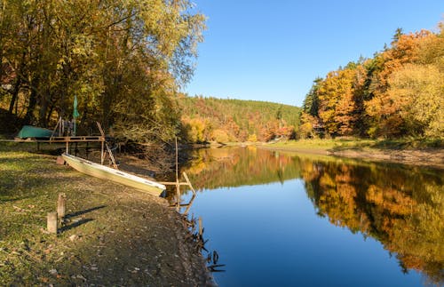 Fotos de stock gratuitas de agua, arboles, bosque