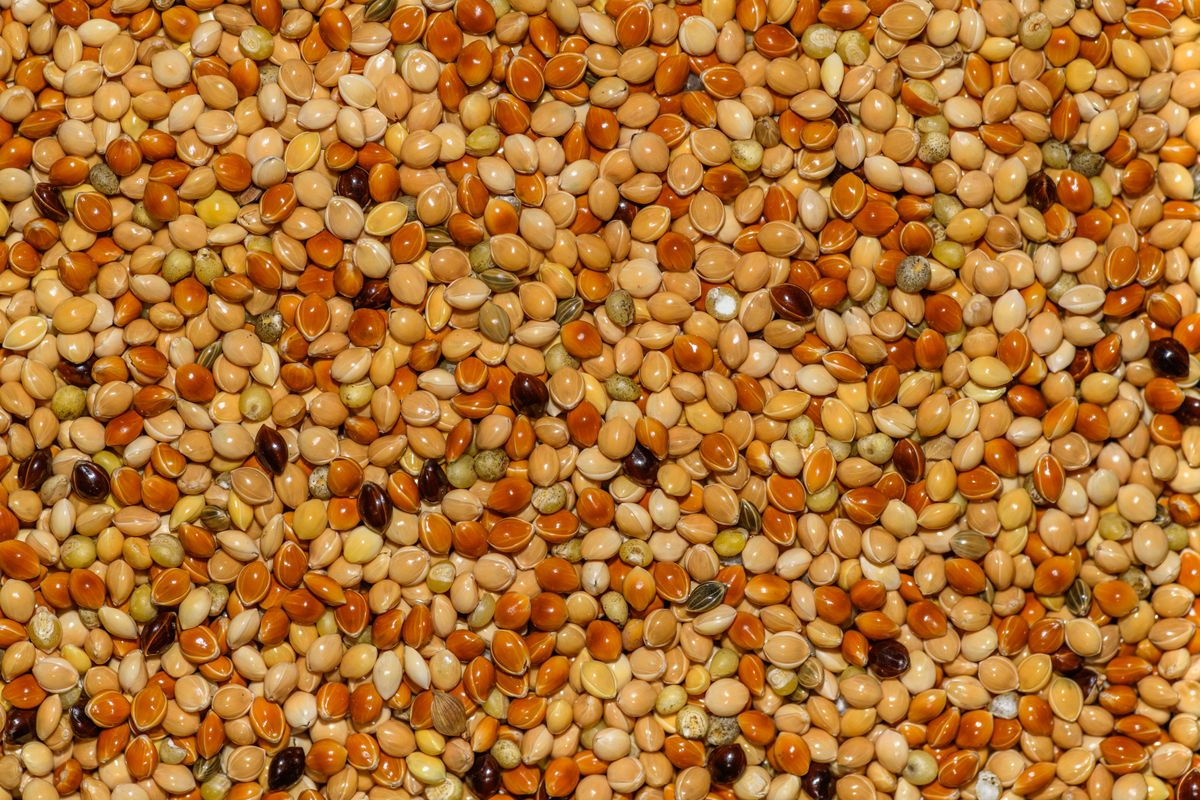 Multi Grain Millets