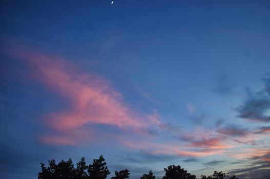 A vibrant evening sky with pink clouds over tree silhouettes in Odisha, India.