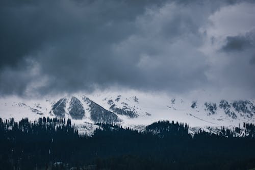 Gratis lagerfoto af bjerge, landskab, skov Lagerfoto
