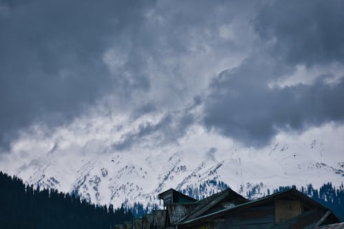Gratis lagerfoto af bjerge, skov, skyer Lagerfoto