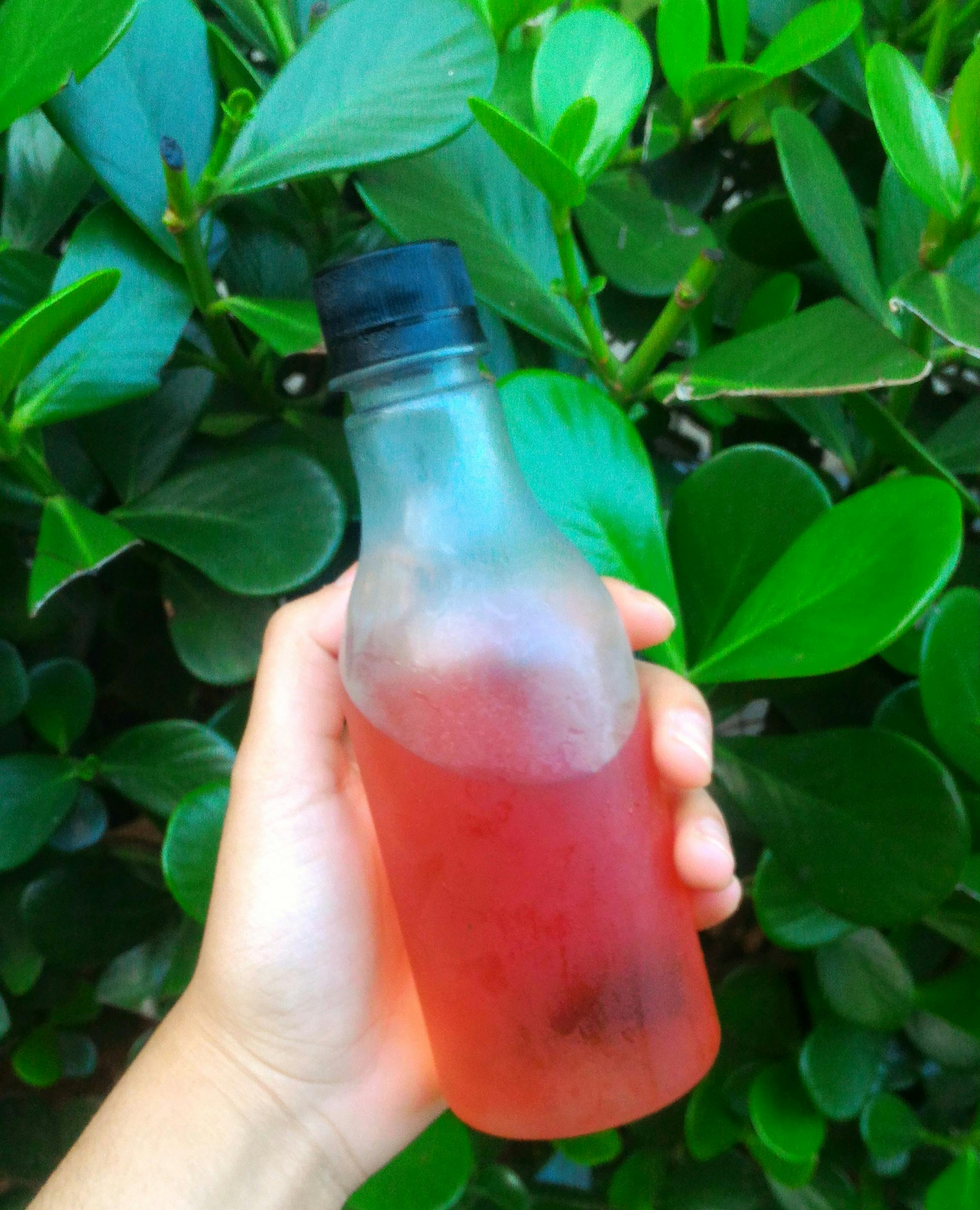 Free stock photo of bottle, juice