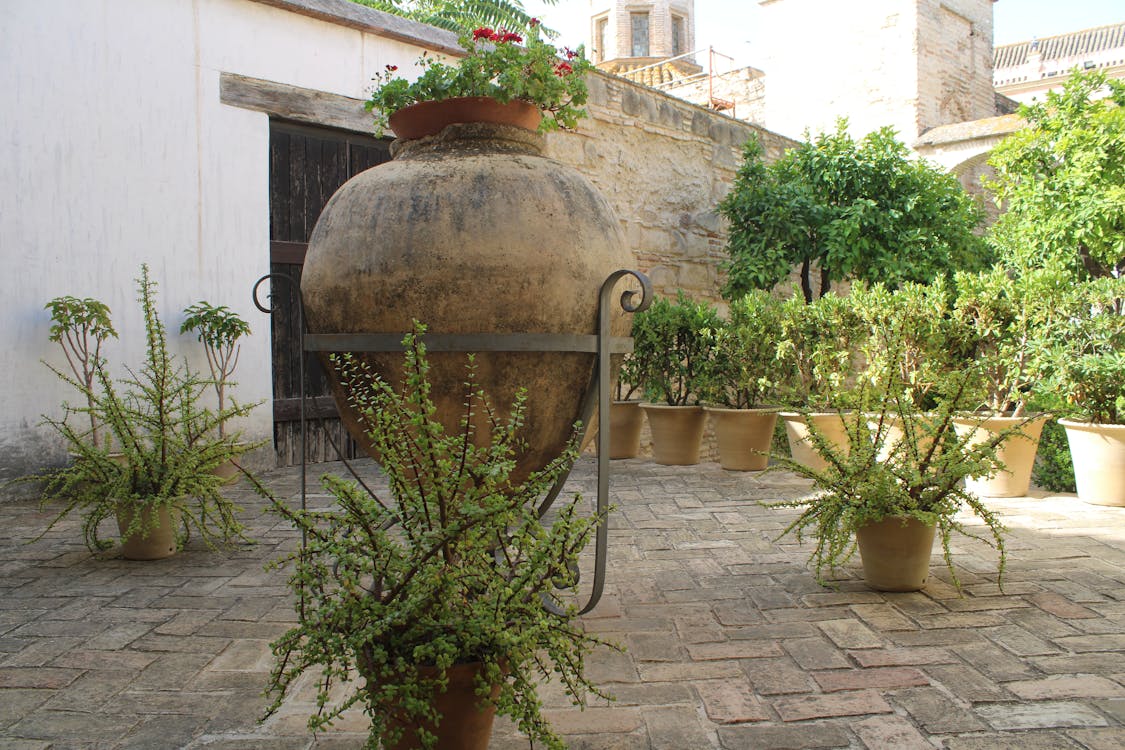 Mezquita de Jerez