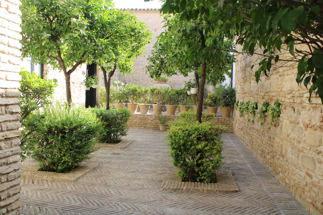 Mezquita de Jerez