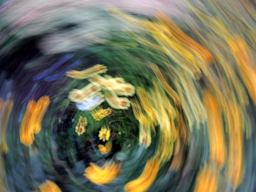 Photo of Colorful Blooming Flowers with Motion Blur