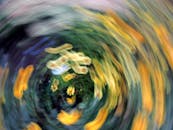 Photo of Colorful Blooming Flowers with Motion Blur