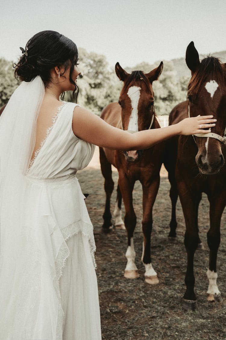 Bride Standing Next To Horses