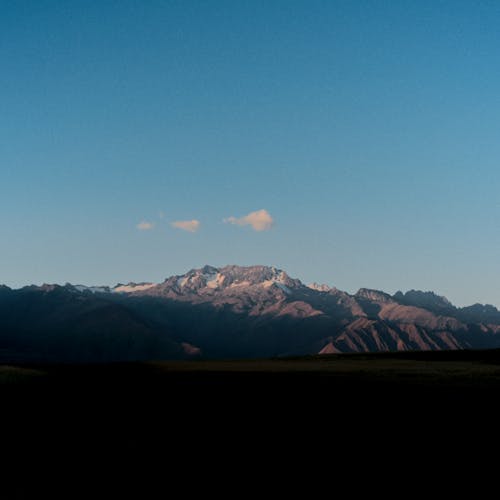 Foto profissional grátis de bicos, cenário, céu limpo