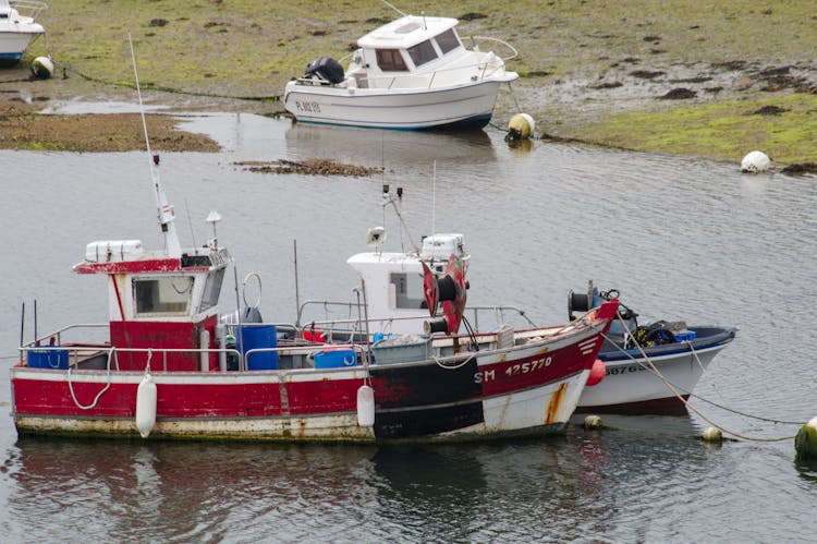 Ships In Water Near Bank