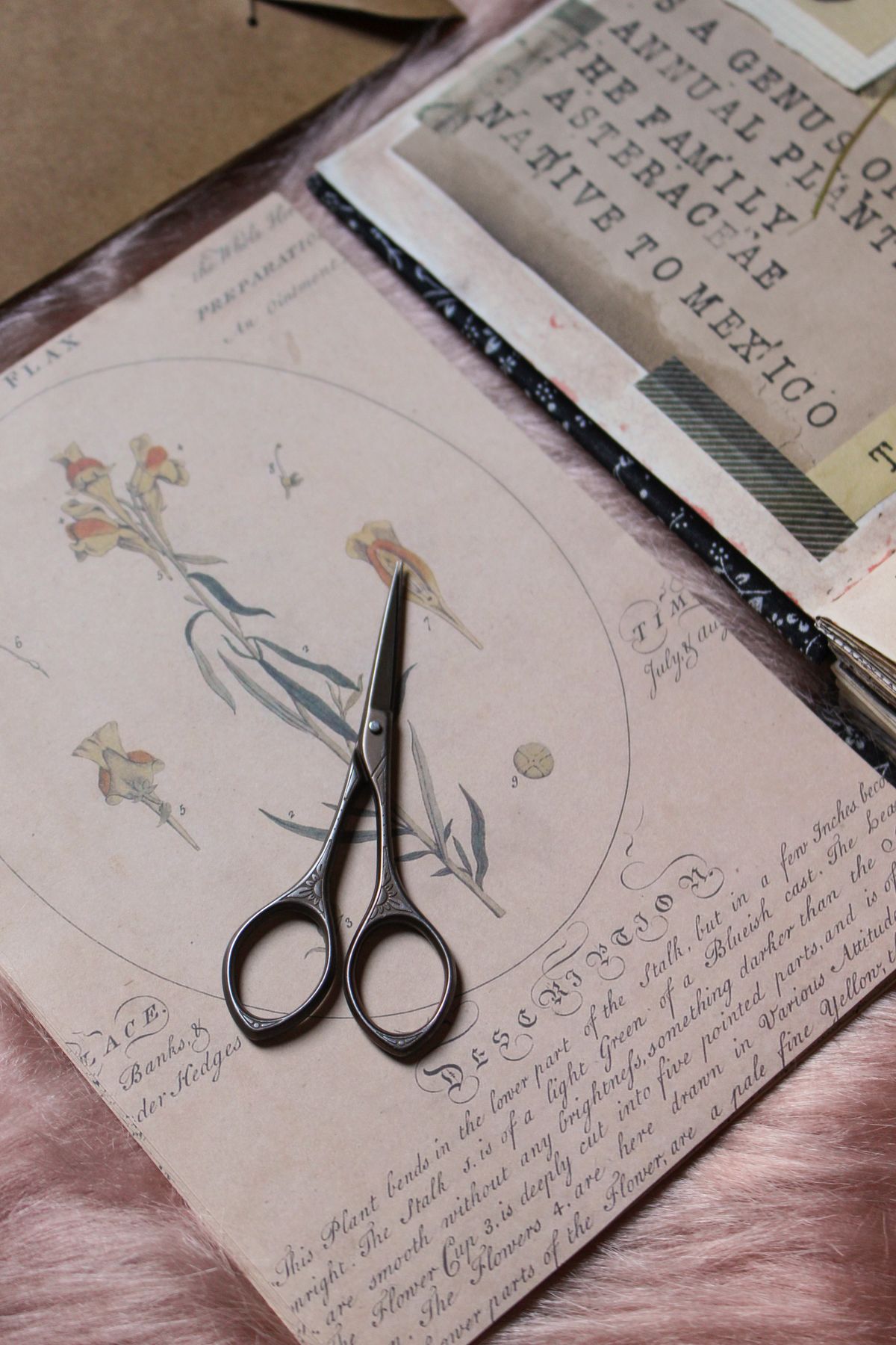 Creative journaling and scrapbooking materials arranged on a table