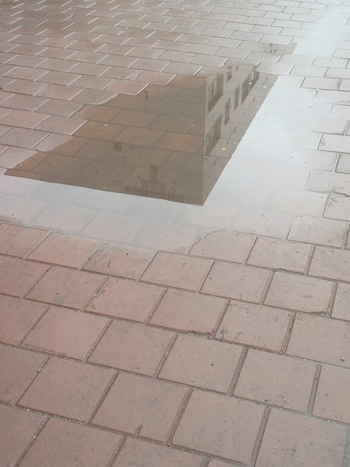 Building Reflection in Puddle on Pavement