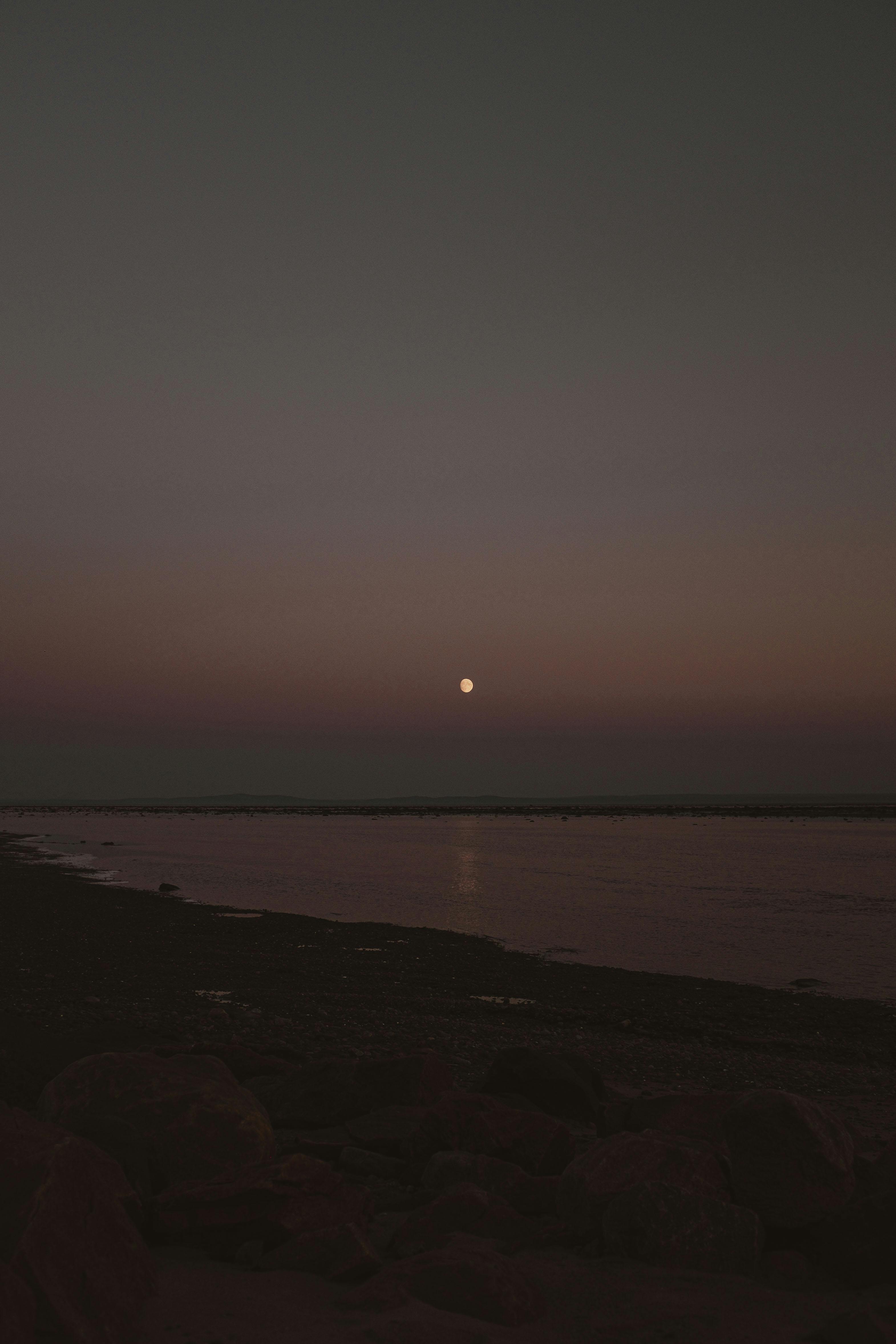 Tranquil coastal scene at night with a luminous moon casting reflections on the calm sea.