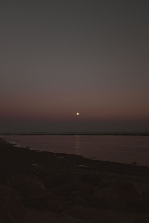 Foto profissional grátis de cair da noite, cenário, costa
