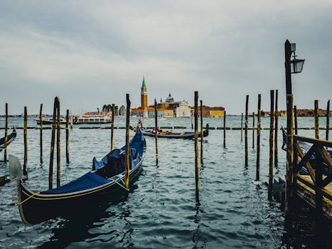 Image by Jędrzej Koralewski