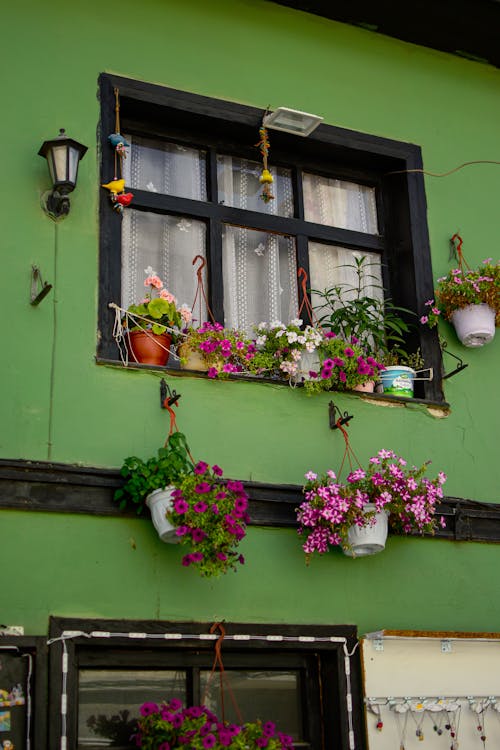A Window in a House Decorated with Flowers