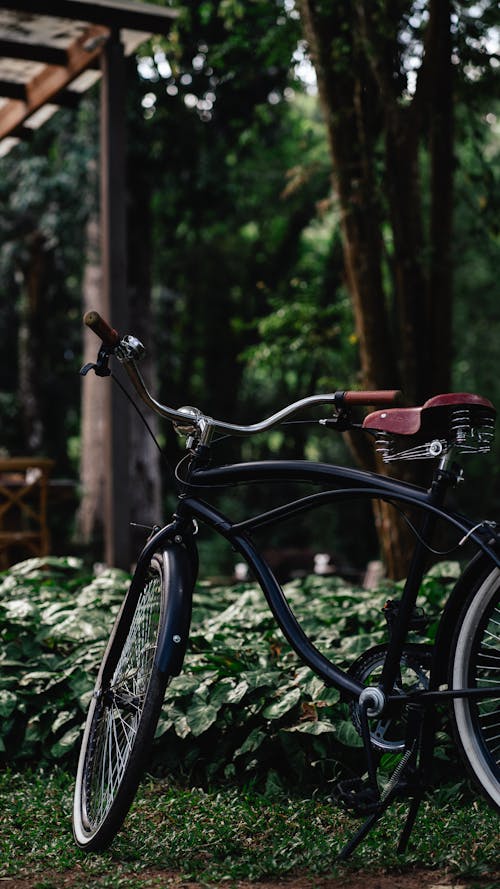 A Bicycle Standing on the Background of Green Plants 