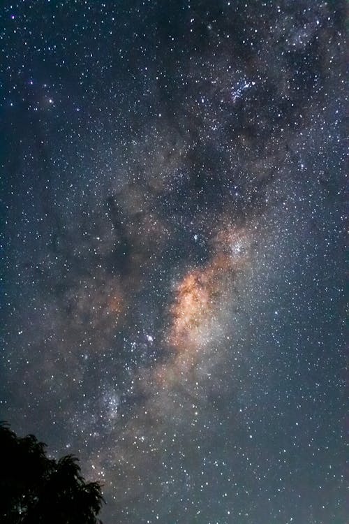 View of a Starry Night Sky