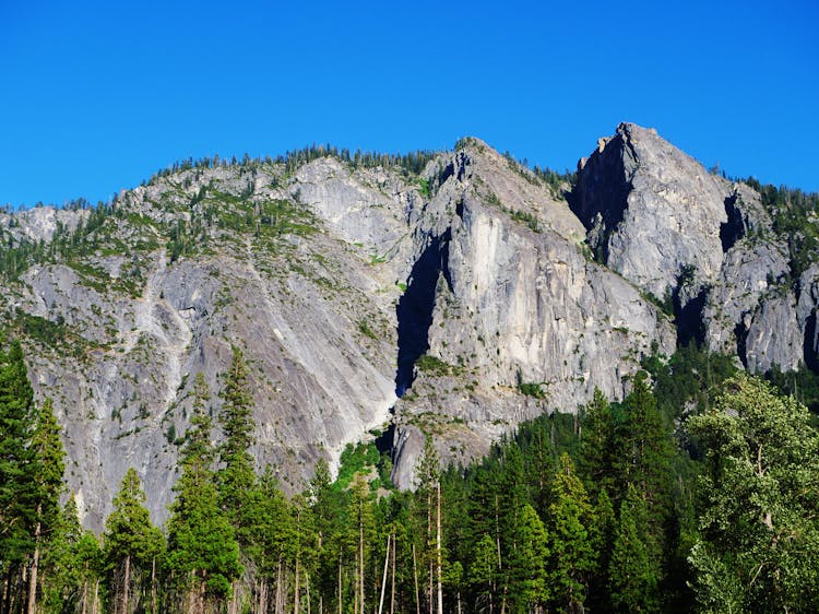 Rocky Mountains In A Valley 