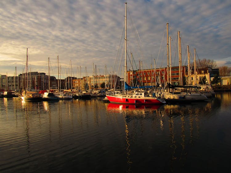 Boats In The Harbor