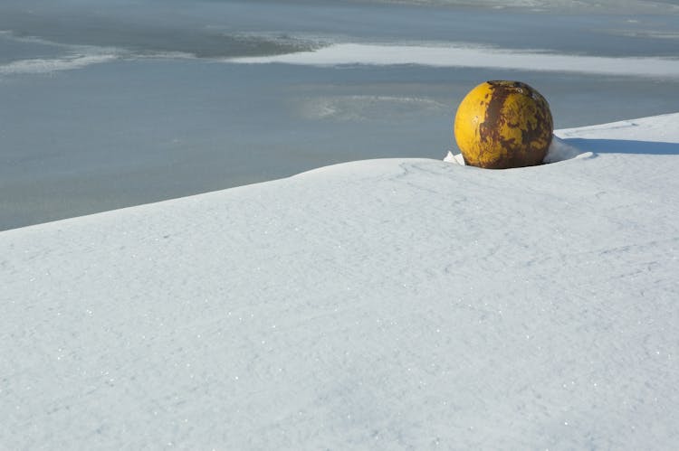 Snow In The Harbor