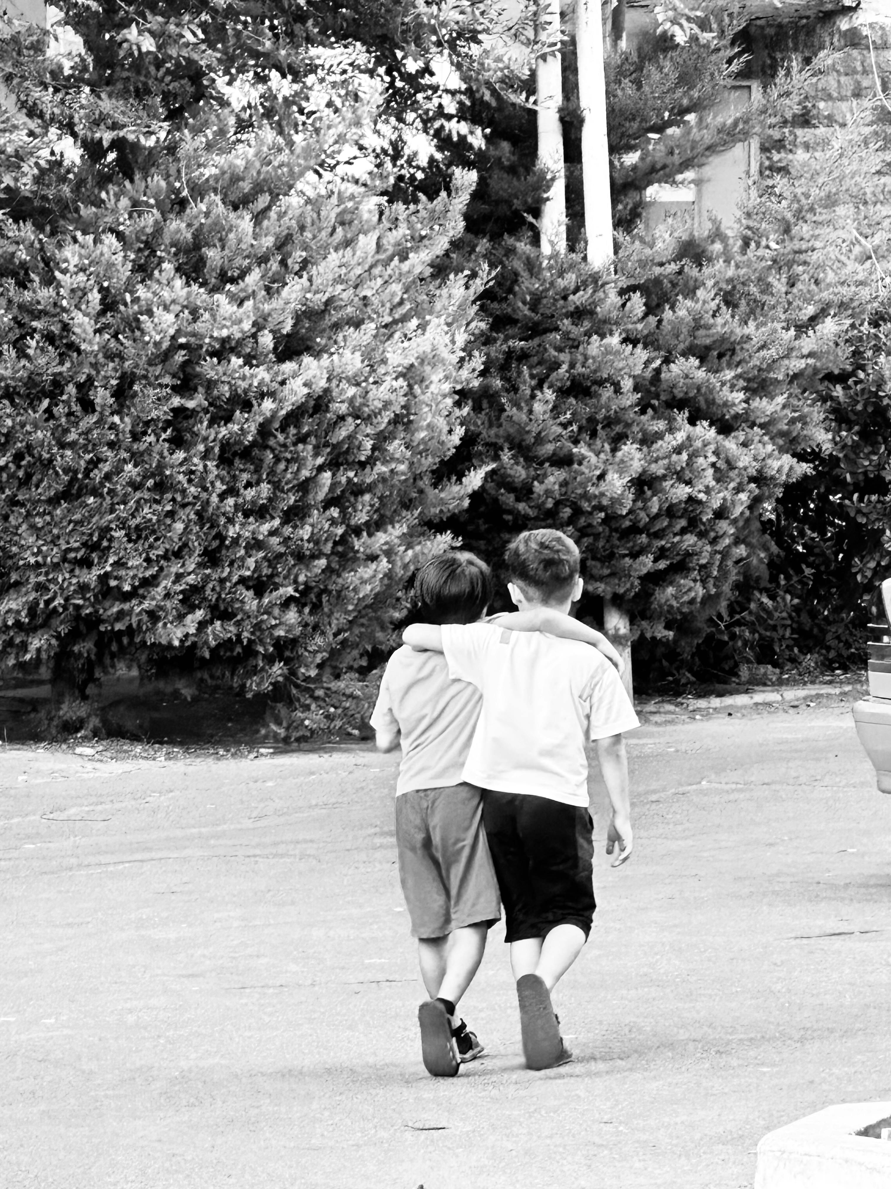 Semáforos Lgbt Friendly Photos, Download The BEST Free Semáforos Lgbt