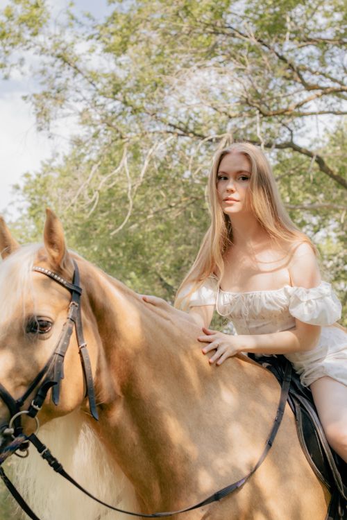 Free A young woman in a white dress rides a tan horse under a lush forest canopy. Stock Photo