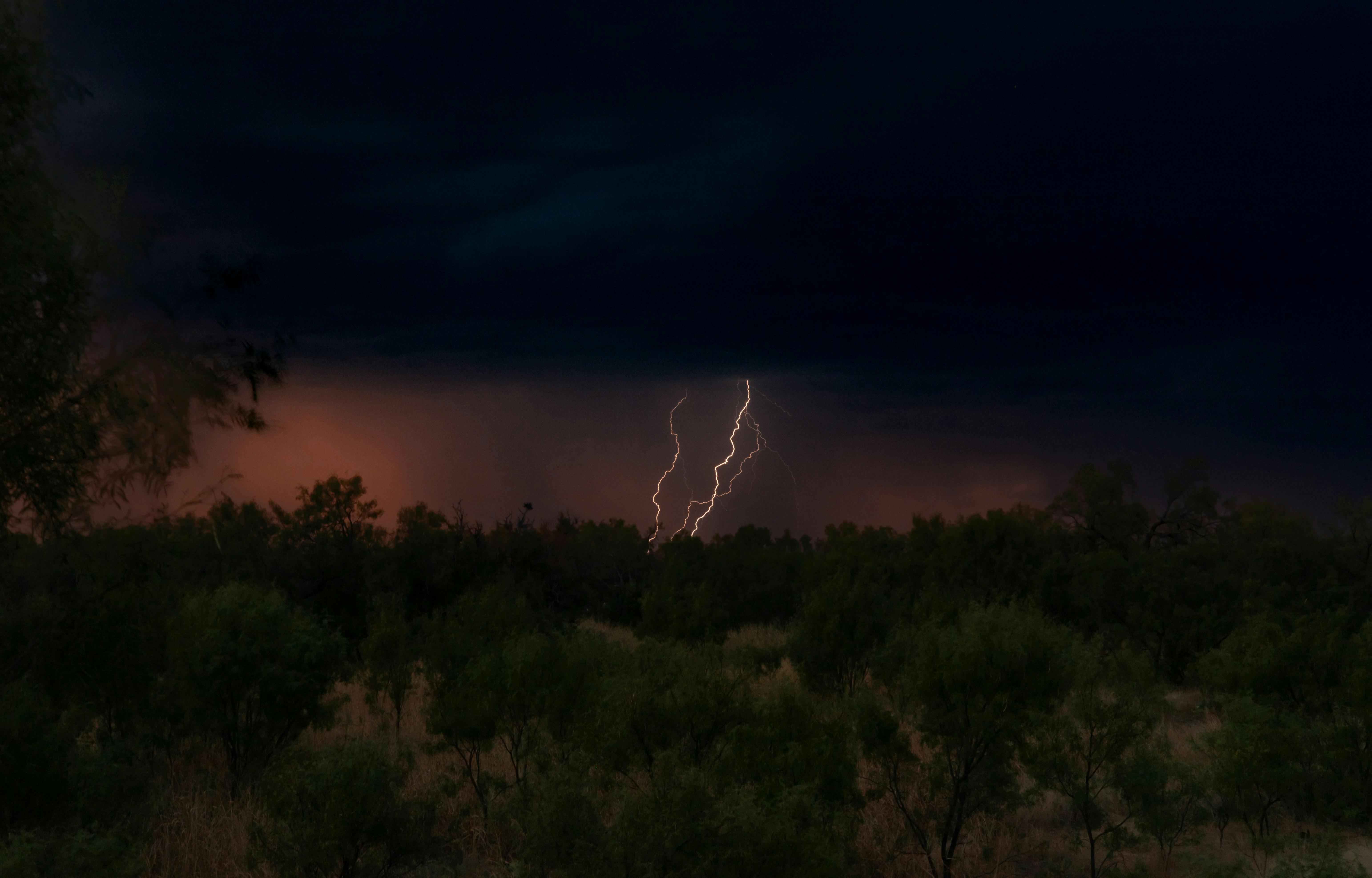 lightning by the forest at night