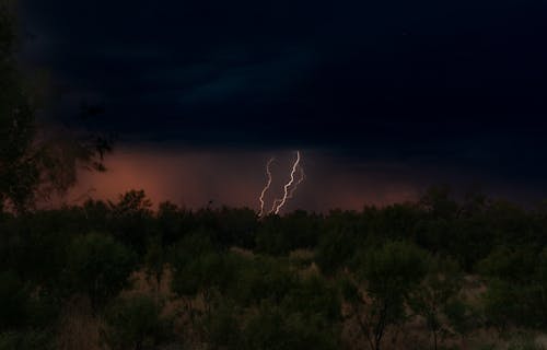 Lightning by the Forest at Night 
