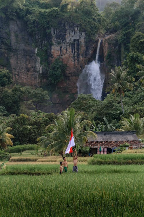 Boys with Indonesian Flag in the Field Near the Waterfall