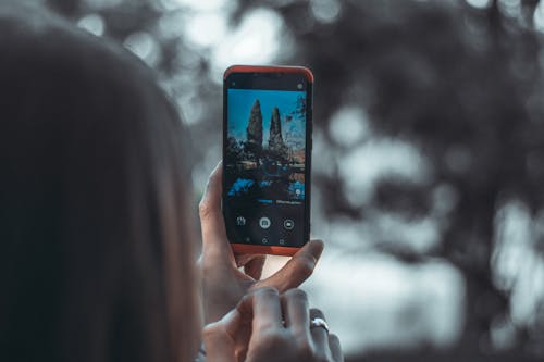 Photo of Person Taking Picture of Tree