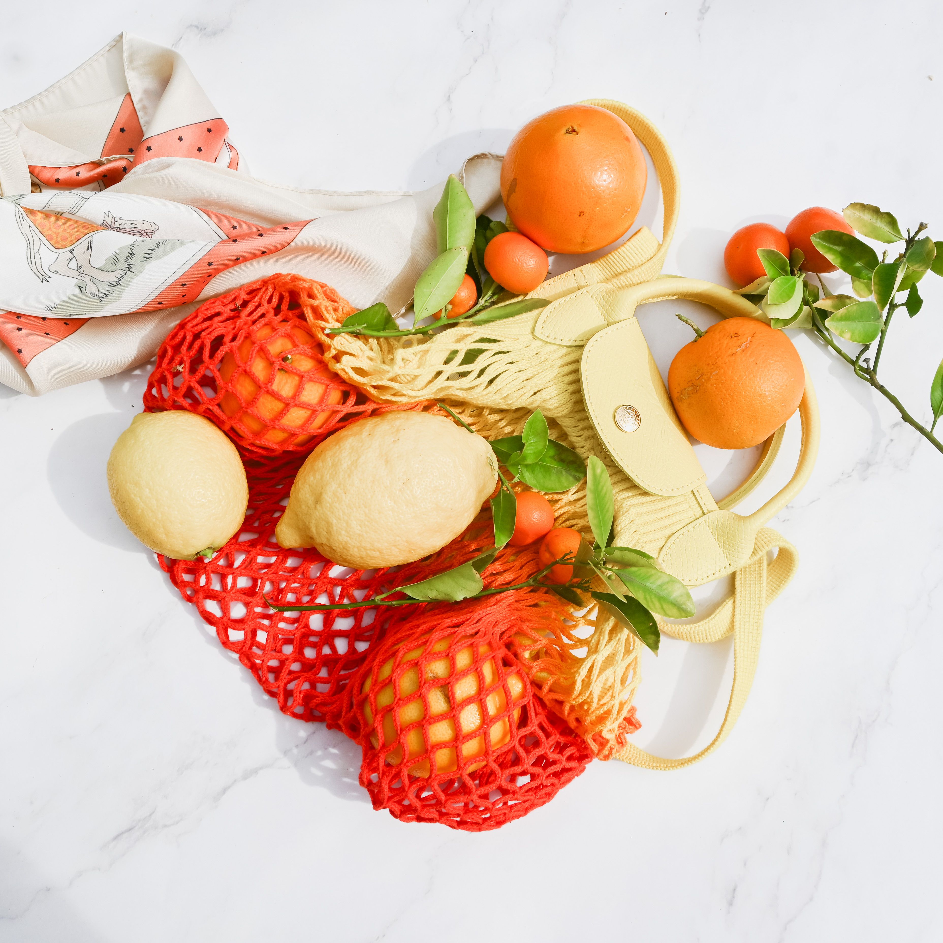 Citrus Fruits and Shopping Net