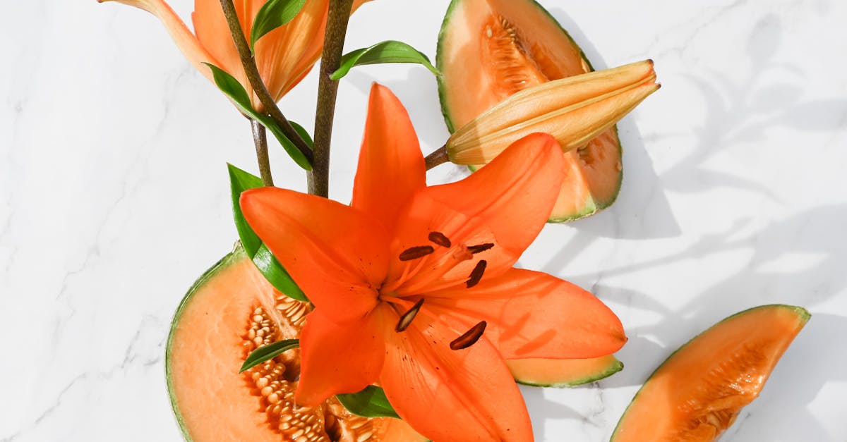 Flower And Exotic Fruit Free Stock Photo flower-and-exotic-fruit-free-stock-photo