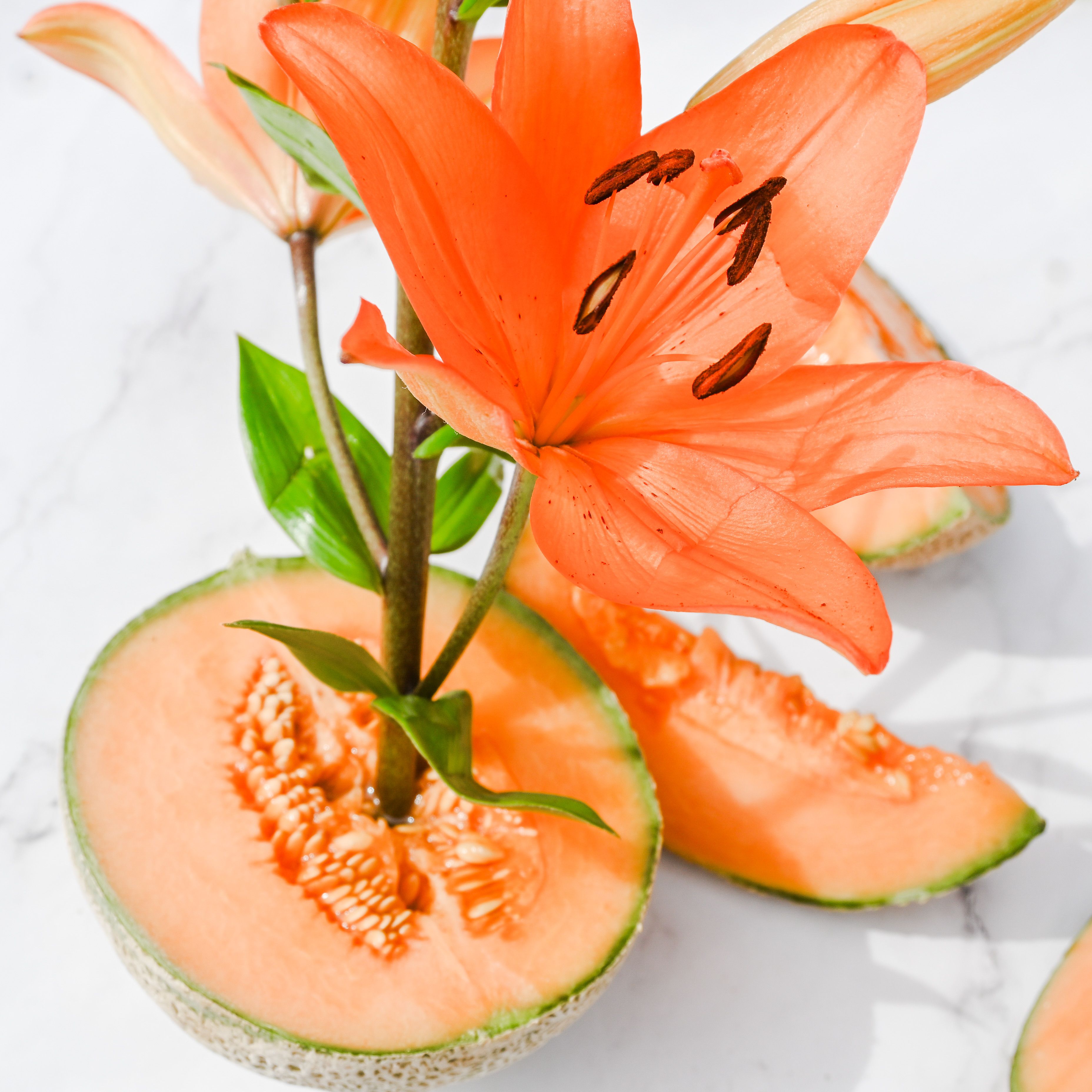 Sliced Melon and a Lily Flower 