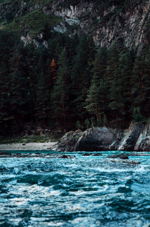 Free Stunning view of a river coursing through a dense forest and rocky formations. Stock Photo