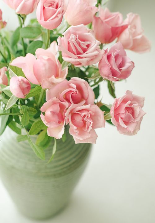 Free A close-up of a bouquet of fresh pink roses arranged in a green vase against a white background. Stock Photo
