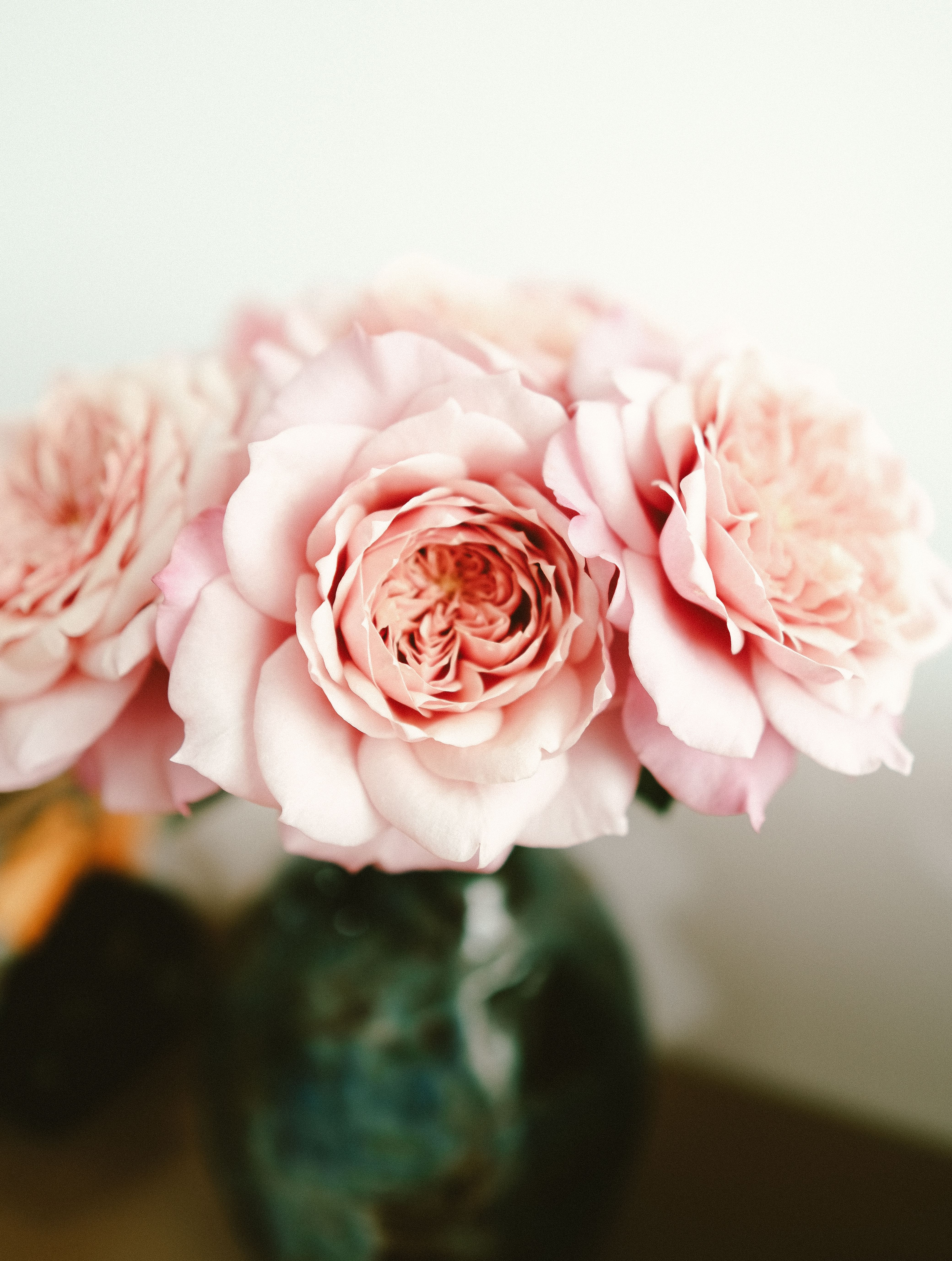 Photo of Pastel Pink Roses in a Vase · Free Stock Photo