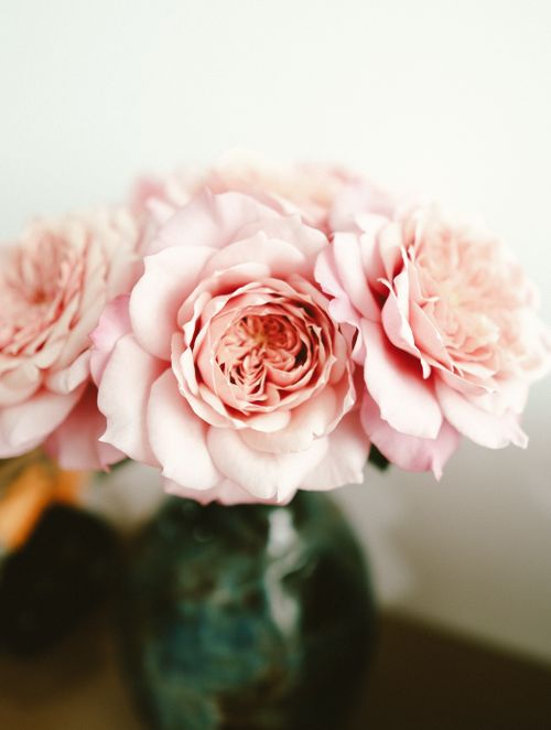 Free Beautiful pastel pink roses in a vase, perfect for romantic and elegant themes. Stock Photo