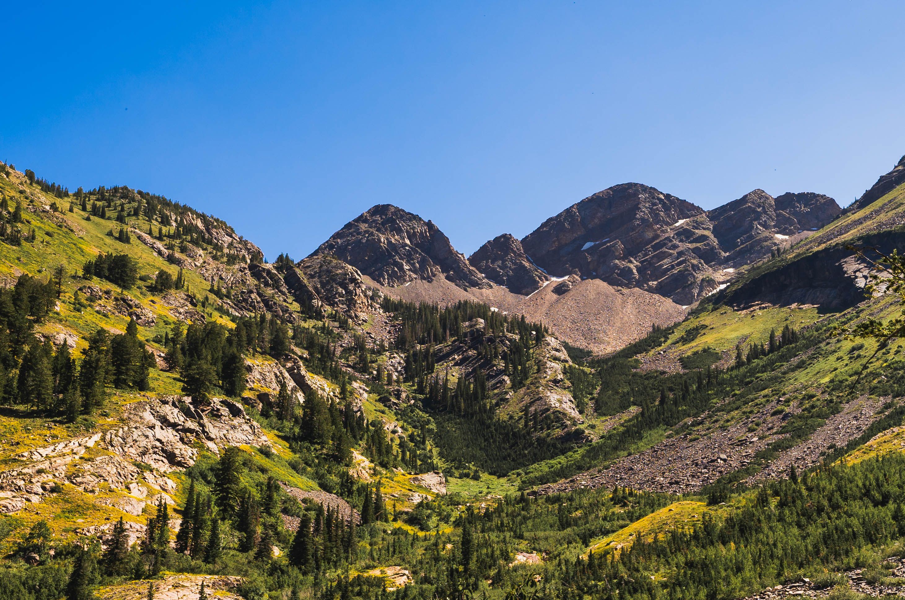 Landscape with Conifer Trees in Rocky Mountains · Free Stock Photo