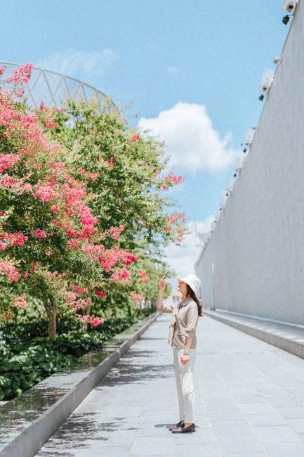 A woman enjoys a vibrant spring day surrounded by blooming trees in an urban alley.