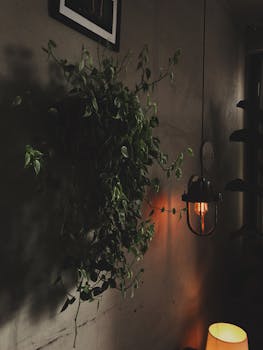 室内房间温馨舒适，悬挂的植物和温暖的灯光营造出舒适的氛围