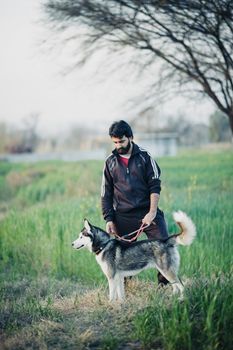 A man walks his husky dog in a rural field during the day. Calm and serene outdoor scene.