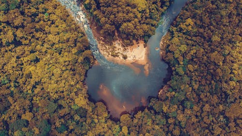 無料 木々に囲まれた川 写真素材