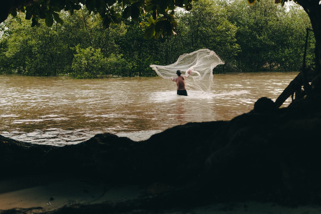 Fisherman with Net in River · Free Stock Photo